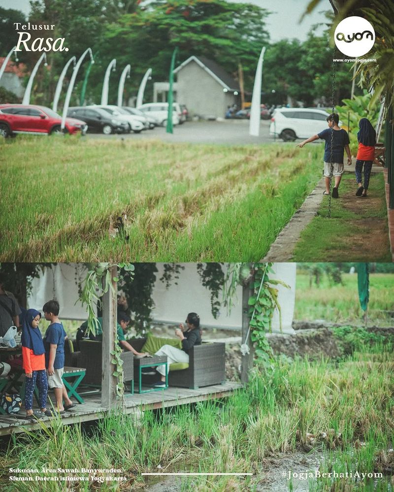 coffee shop di Jogja yang punya view sawah