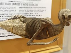 Deretan Hoaks Ilmiah Paling Konyol Sepanjang Sejarah