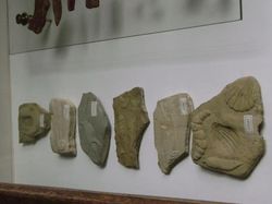 Deretan Hoaks Ilmiah Paling Konyol Sepanjang Sejarah