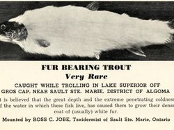 Deretan Hoaks Ilmiah Paling Konyol Sepanjang Sejarah