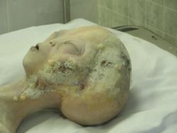 Deretan Hoaks Ilmiah Paling Konyol Sepanjang Sejarah