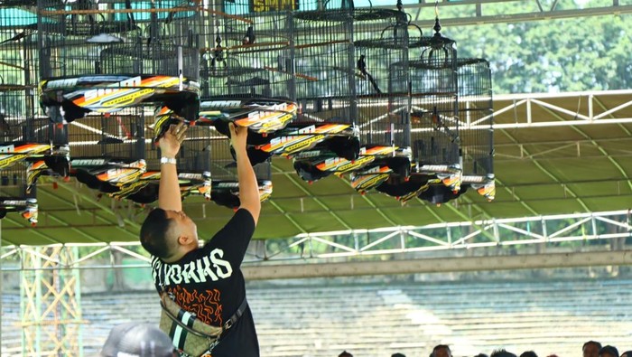 Lomba kicau burung di Gresik.