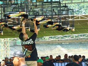Ratusan Kicau Mania Meriahkan SMM Kapolri Cup 2025 di Gresik