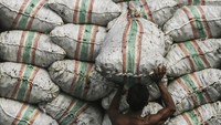 Upah buruh panggul kopra yang menggantungkan hidup dari aktivitas bongkar muat barang di pelabuhan tersebut Rp 100 ribu hingga Rp 250 ribu per sekali angkut tergantung jumlah kopra dan beratnya.   