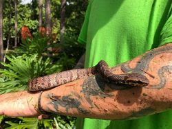 Orang-orang yang Tanpa Sadar Lakukan Aksi Bahayakan Nyawa, Duh, Hati-hati!