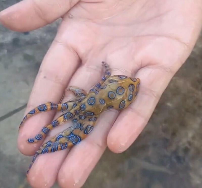 Orang-orang ini tidak sadar bahwa hal yang mereka lakukan ini membahayakan nyawa mereka. Hati-hati!