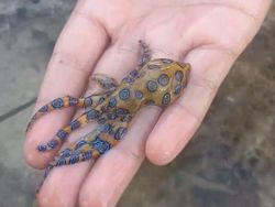 Orang-orang yang Tanpa Sadar Lakukan Aksi Bahayakan Nyawa, Duh, Hati-hati!