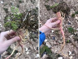 Orang-orang yang Tanpa Sadar Lakukan Aksi Bahayakan Nyawa, Duh, Hati-hati!