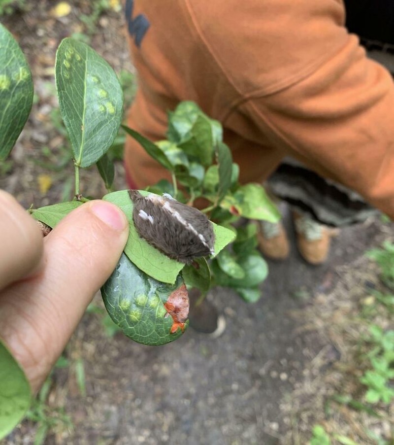 Orang-orang ini tidak sadar bahwa hal yang mereka lakukan ini membahayakan nyawa mereka. Hati-hati!
