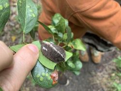 Orang-orang yang Tanpa Sadar Lakukan Aksi Bahayakan Nyawa, Duh, Hati-hati!