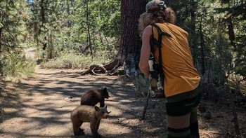 Nggak kasih makan beruang juga, kali. Foto: ds3101 via Bored Panda  