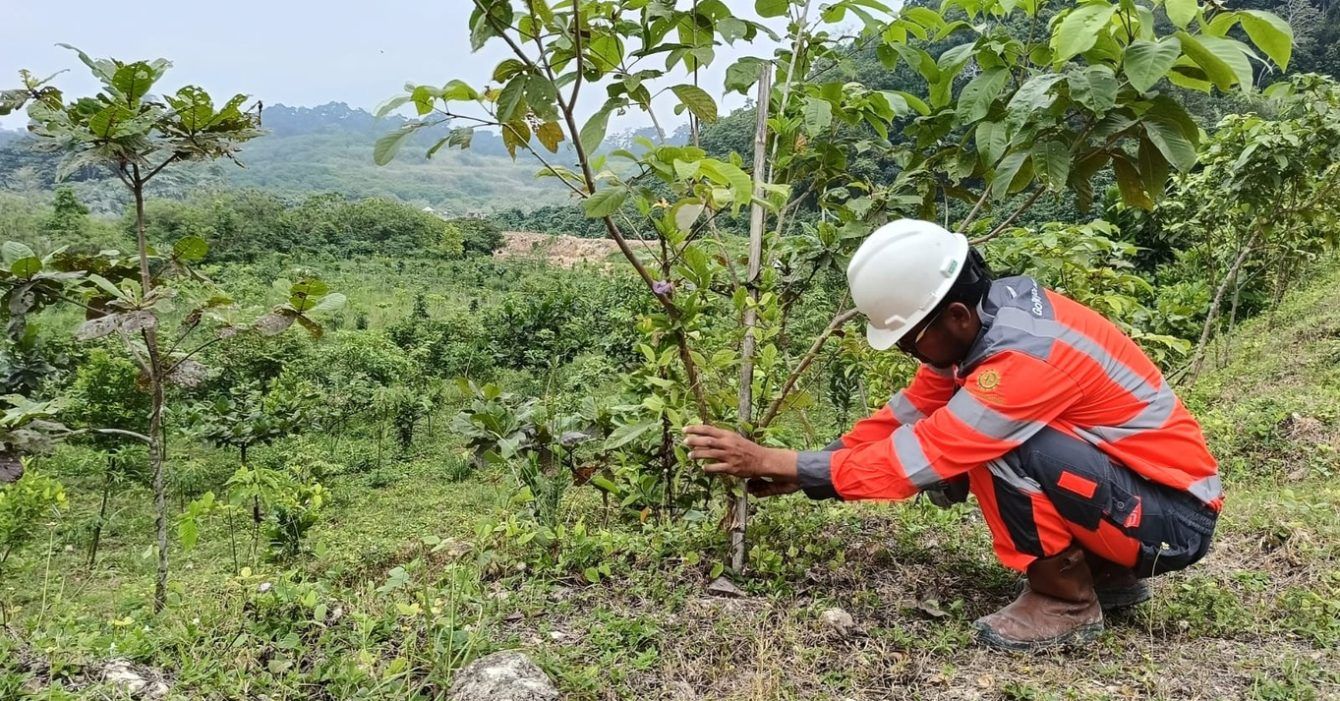 Penanaman pohon PT Solusi Bangun Cilacap