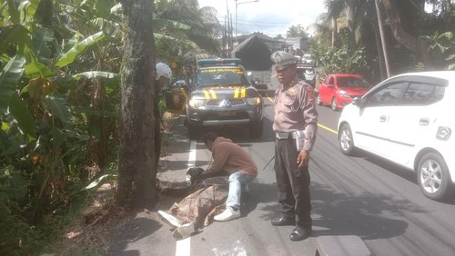 Polisi mengevakuasi korban kecelakaan lalu lintas di Jalan Denpasar-Gilimanuk, tepatnya di wilayah Kecamatan Selemadeg, Tabanan, Bali, Minggu (13/4/2025). (Foto: Polres Tabanan)