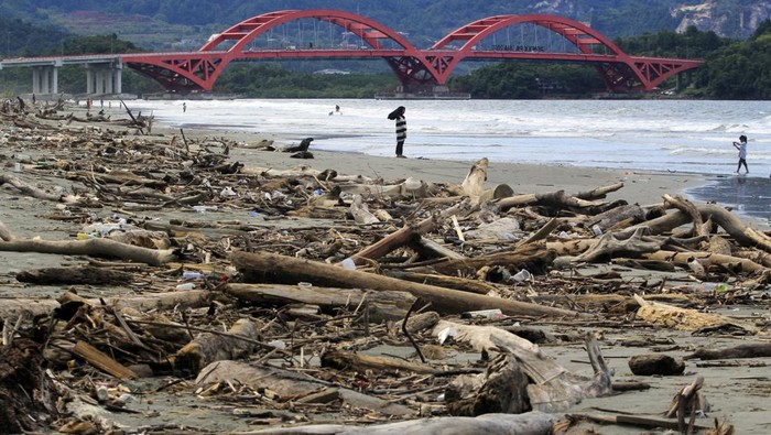 Sampah berupa batang kayu mengotori Pantai Holtekamp, Jayapura, Papua. Ini penampakannya.