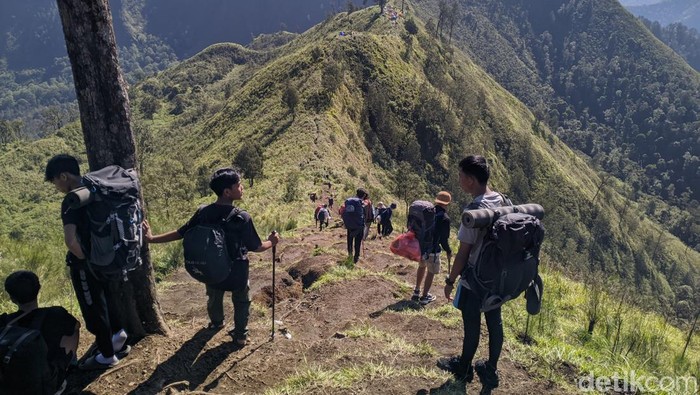 Suasana puncak Bukit Gedong menghadap Puncak Gunung Rinjani, Lombok, NTB, Minggu (6/4/2025). (Ahmad Viqi/detikBali).
