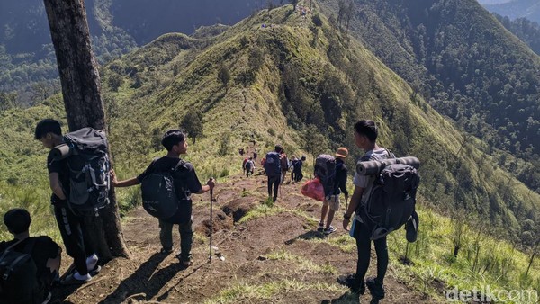 Jalur Pendakian Pelawangan Rinjani Ditutup Sementara Usai 2 Turis Terjatuh