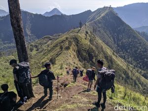 Jalur Pendakian Pelawangan Rinjani Ditutup Sementara Usai 2 Turis Terjatuh