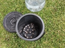 Kagetnya Hari Temukan Ular Weling Merayap di Pagar Belakang Rumahnya