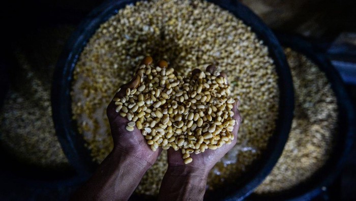 Pekerja mencuci kedelai untuk diolah menjadi tahu di Cipondoh, Kota Tangerang, Banten, Senin (14/4/2025). Produsen tahu setempat mengeluhkan harga kedelai impor yang sudah naik tiga kali sejak sepekan terakhir dari Rp9.900 menjadi Rp10.600 per kilogram yang berdampak terhadap meningkatnya biaya produksi tahu dan omzet mereka. ANTARA FOTO/Putra M. Akbar/app/tom.