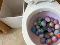 Jijik! Wanita Ini Mewarnai Telur Paskah di Toilet Duduk