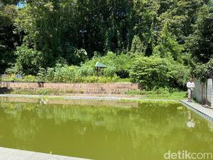 Wisata Kolam Renang Milik Pemkot Parepare Sudah 5 Tahun Terbengkalai