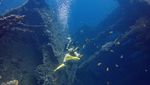 Menikmati Keindahan Bawah Laut Tulamben Bali