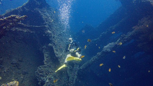 Wisatawan menyelam di atas kapal USS Liberty yang karam di perairan Laut Tulamben, Desa Tulamben, Kubu, Bali, Senin (14/4/2025). Perairan laut Tulamben merupakan destinasi wisata yang menawarkan pemandangan bawah laut diantaranya kapal karam milik Amerika USS Liberty, Batu Kelebit, Tulamben Wall, Coral Garden dan areal Anemone. ANTARA FOTO/Muhammad Adimaja/foc.