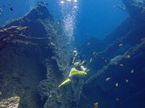 Menikmati Keindahan Bawah Laut Tulamben Bali