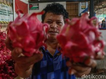 Awalnya Tukang Kebun, Pria Ini Banting Setir Bisnis Buah Omzet Puluhan Juta