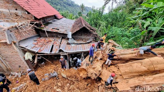 pohon pule raksasa yang dikeramatkan ambruk timpa rumah
