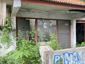 Kenapa Rumah Kosong Suka Cepat Rusak? Ini Biang Keroknya