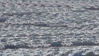 Trump mengatakan, penerapan tarif untuk produk semikonduktor sama halnya seperti pemberlakuan pada produk baja, mobil, dan aluminium yang sekarang sudah sepenuhnya diberlakukan. Langkah ini kata Trump dilakukan lantaran menginginkan adanya produksi di dalam negeri. (AP Photo/Lee Jin-man)  