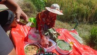 Seorang ibu petani sedang mempersiapkan Nasi Wiwit sebelum panen raya dimulai.