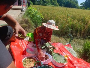 Mengenal Nasi Wiwit, Simbol Tani yang Lestari di Klaten