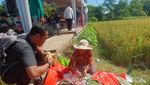 Mengenal Nasi Wiwit, Simbol Tani yang Lestari di Klaten
