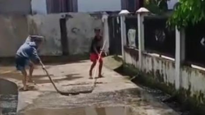 Warga Palembang Sumsel evakuasi ular di gorong-gorong pemukiman usai hujan semalaman.