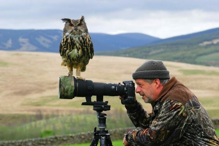 Aksi Fotografer Duganggu Hewan Aksi Fotografer Duganggu Hewan