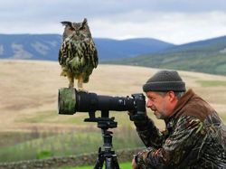 Momen Langka Hewan Ganggu Aksi Fotografer Satwa Liar Bikin Ketawa