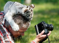 Aksi Fotografer Duganggu Hewan