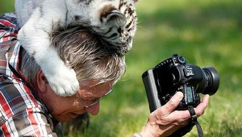 Anak singa yang penasaran ingin melihat dirinya sendiri oleh Frank Augustein. Foto: Boredpanda