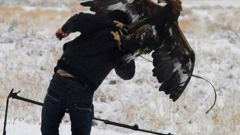 Beraninya kau mengambil fotoku oleh Blain Harasymiw. Foto: Boredpanda