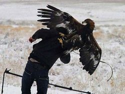 Momen Langka Hewan Ganggu Aksi Fotografer Satwa Liar Bikin Ketawa