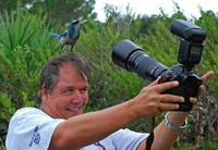 Aksi Fotografer Duganggu Hewan