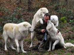 Momen Langka Hewan Ganggu Aksi Fotografer Satwa Liar Bikin Ketawa