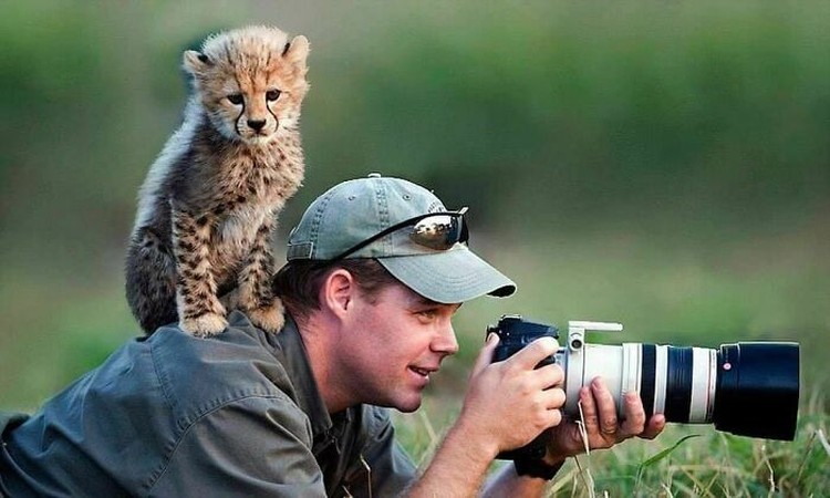 Aksi Fotografer Duganggu Hewan Aksi Fotografer Duganggu Hewan