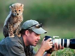 Momen Langka Hewan Ganggu Aksi Fotografer Satwa Liar Bikin Ketawa
