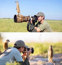 Aksi Fotografer Duganggu Hewan