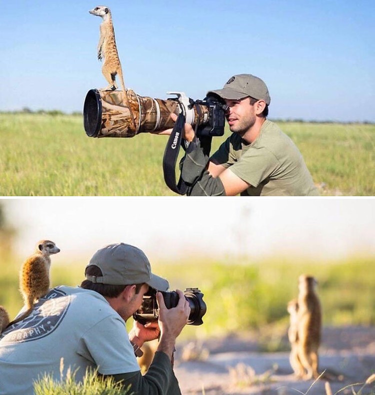 Aksi Fotografer Duganggu Hewan Aksi Fotografer Duganggu Hewan