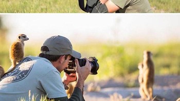 Foto oleh Will Burrard-Lucas. Foto: Boredpanda