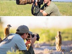 Momen Langka Hewan Ganggu Aksi Fotografer Satwa Liar Bikin Ketawa